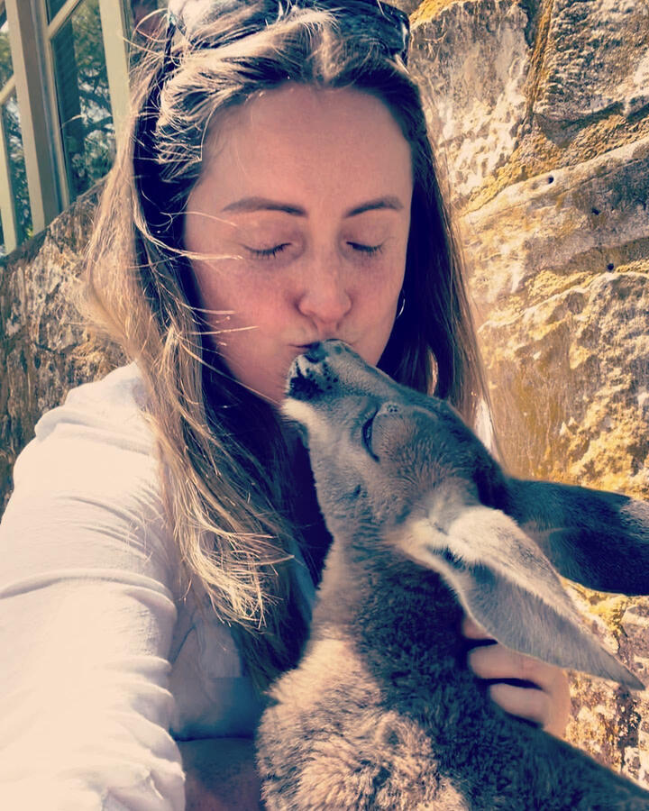 Kangaroo Kangaroo