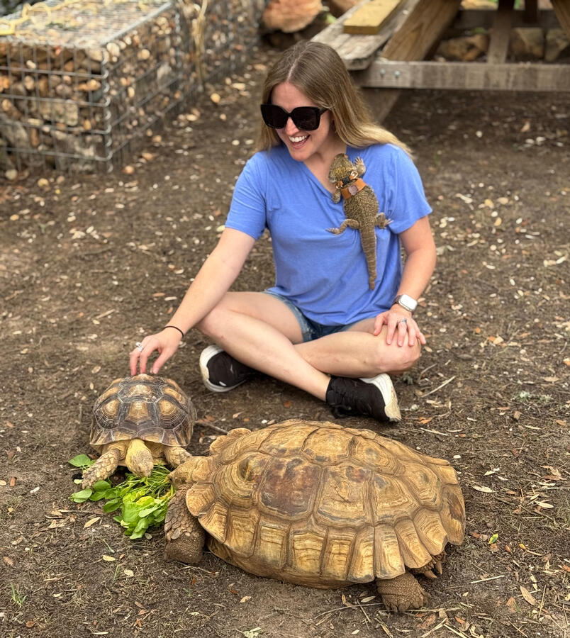 Reptiles Reptiles