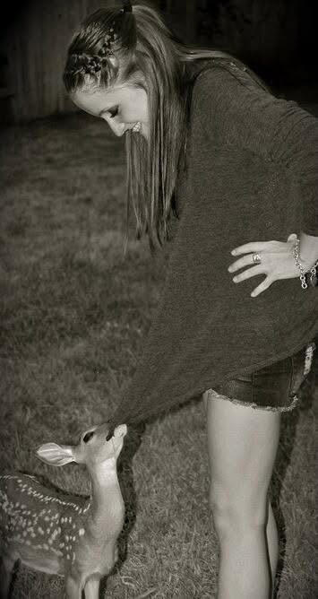 Baby Deer Baby Deer